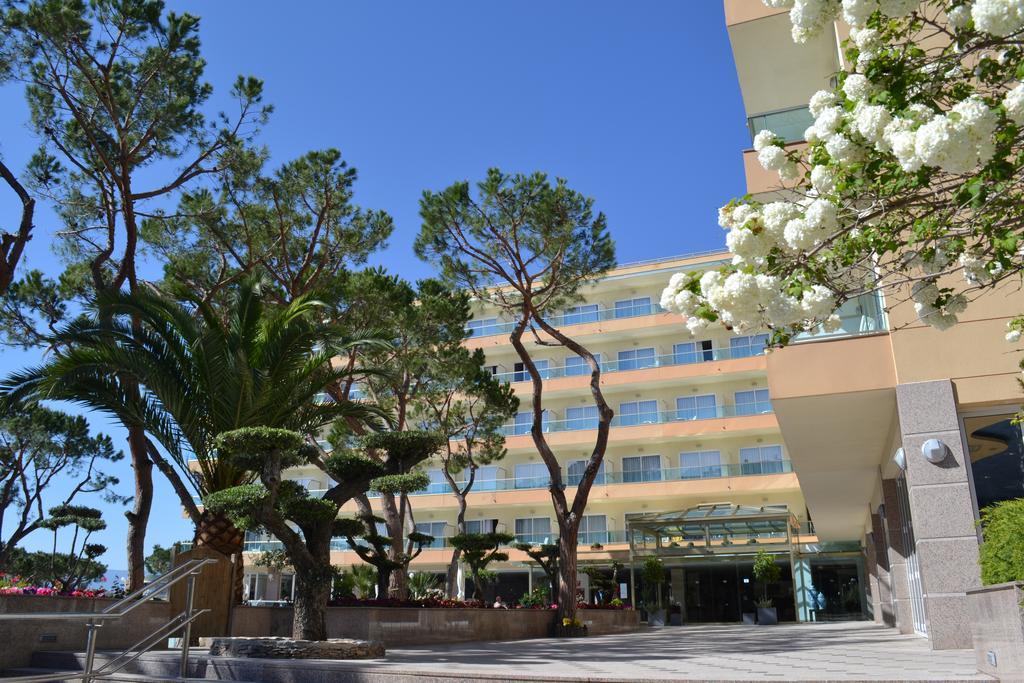 Suite Junior - Vue sur Mer